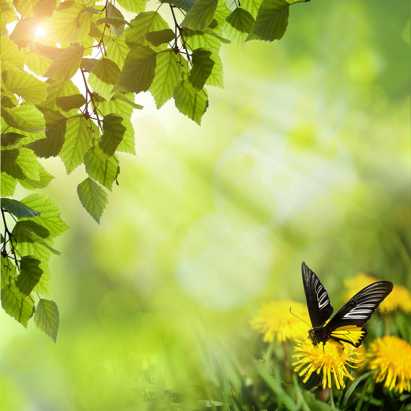 http://www.decorel.by/wp-content/uploads/2015/03/thumb_02007.jpg